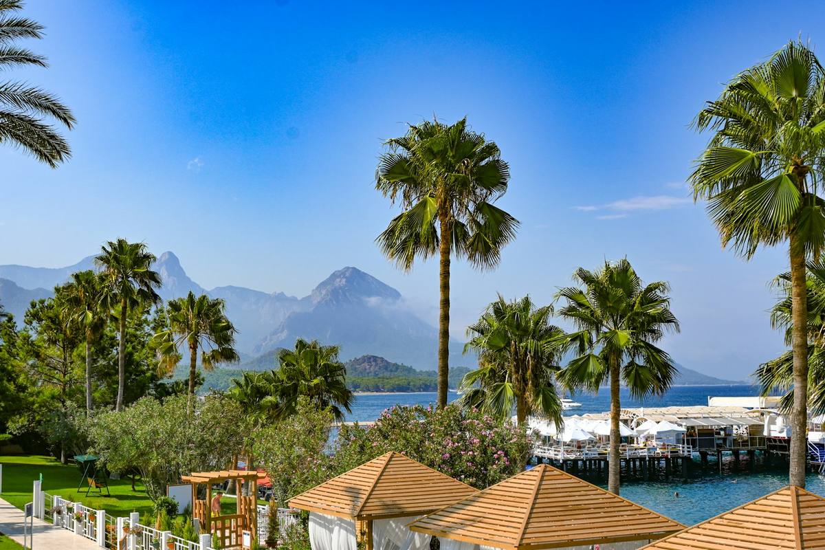 Resort pool framed by palm trees and mountains