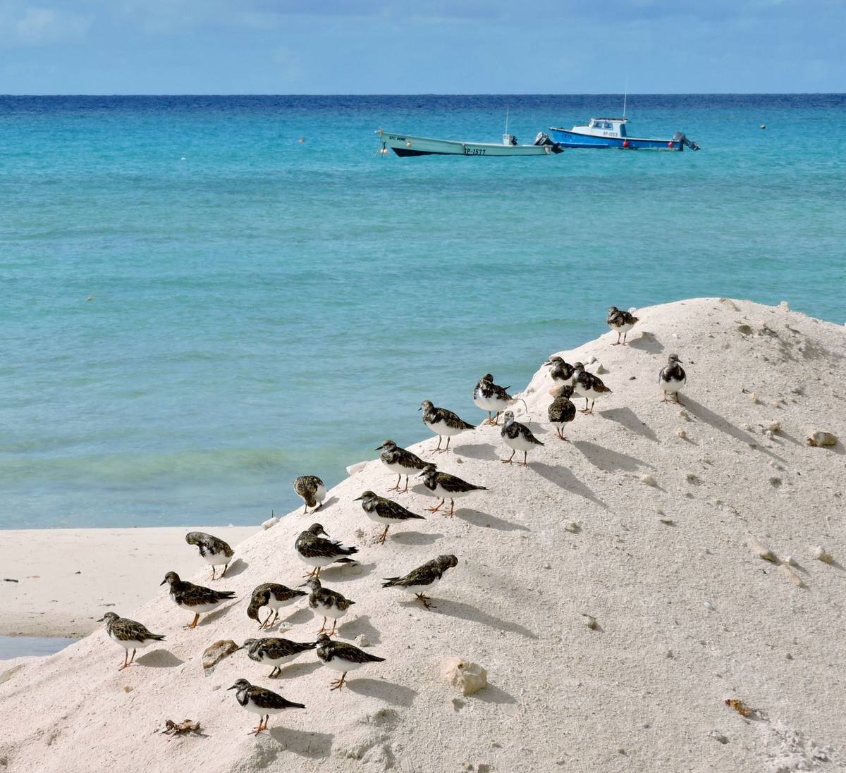 Boats on the beach at Oistins, Barbados