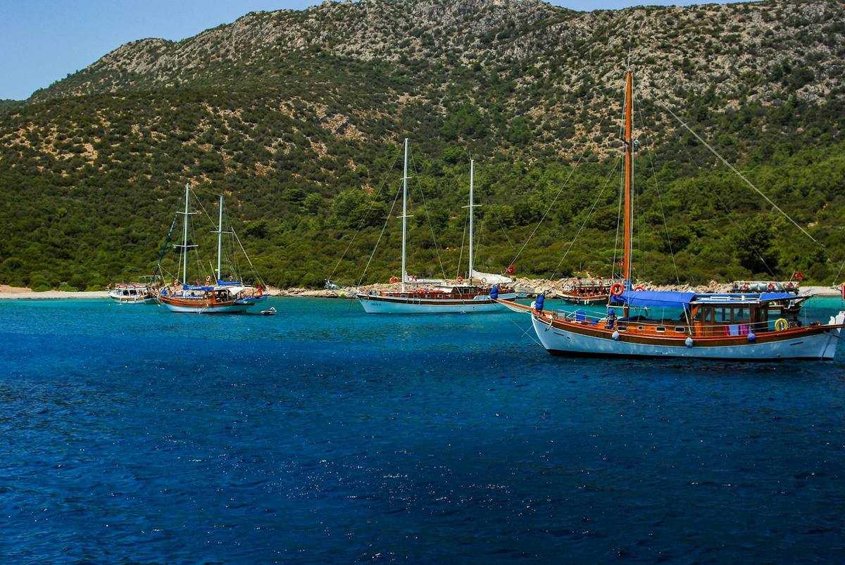 Gulets anchored in a pine-fringed Bodrum bay