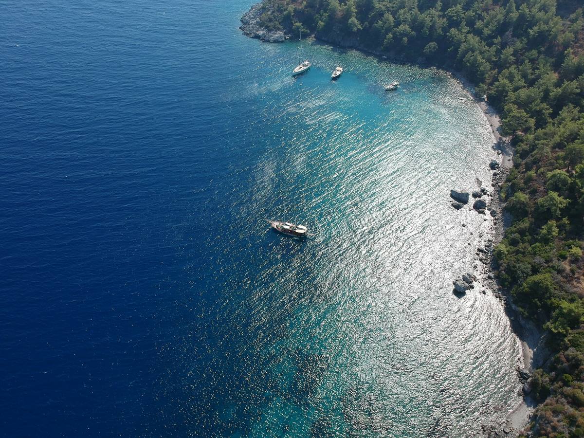 Aerial view of the pine-fringed Bodrum coastline