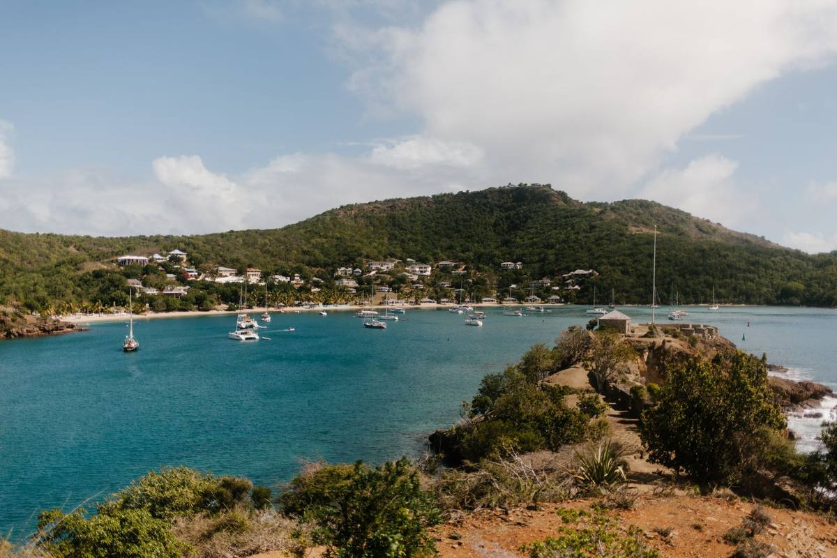 Sailboats anchored in a bay beside a green island