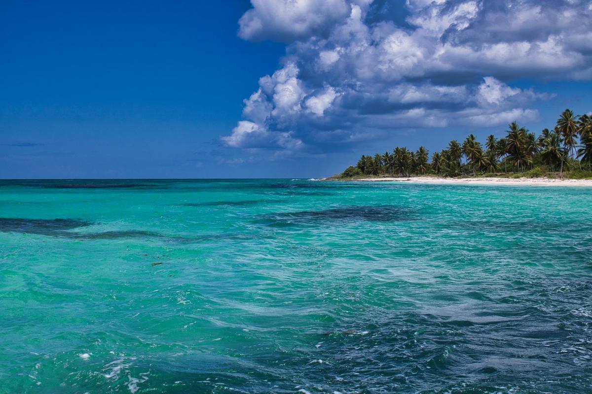 A palm-fringed tropical beach with turquoise water