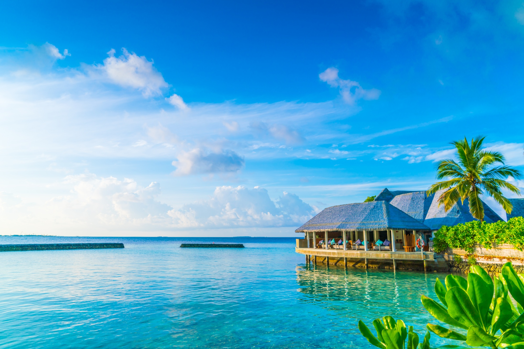 A beach resort with palms and a pool beside the sea