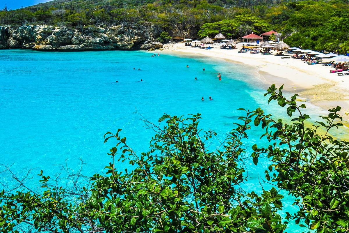 A turquoise beach backed by greenery in Curaçao