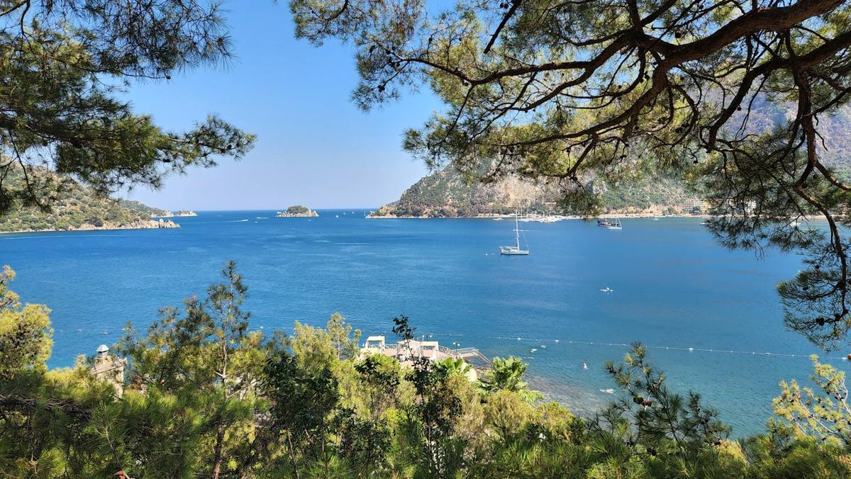 Marmaris bay framed by pine branches