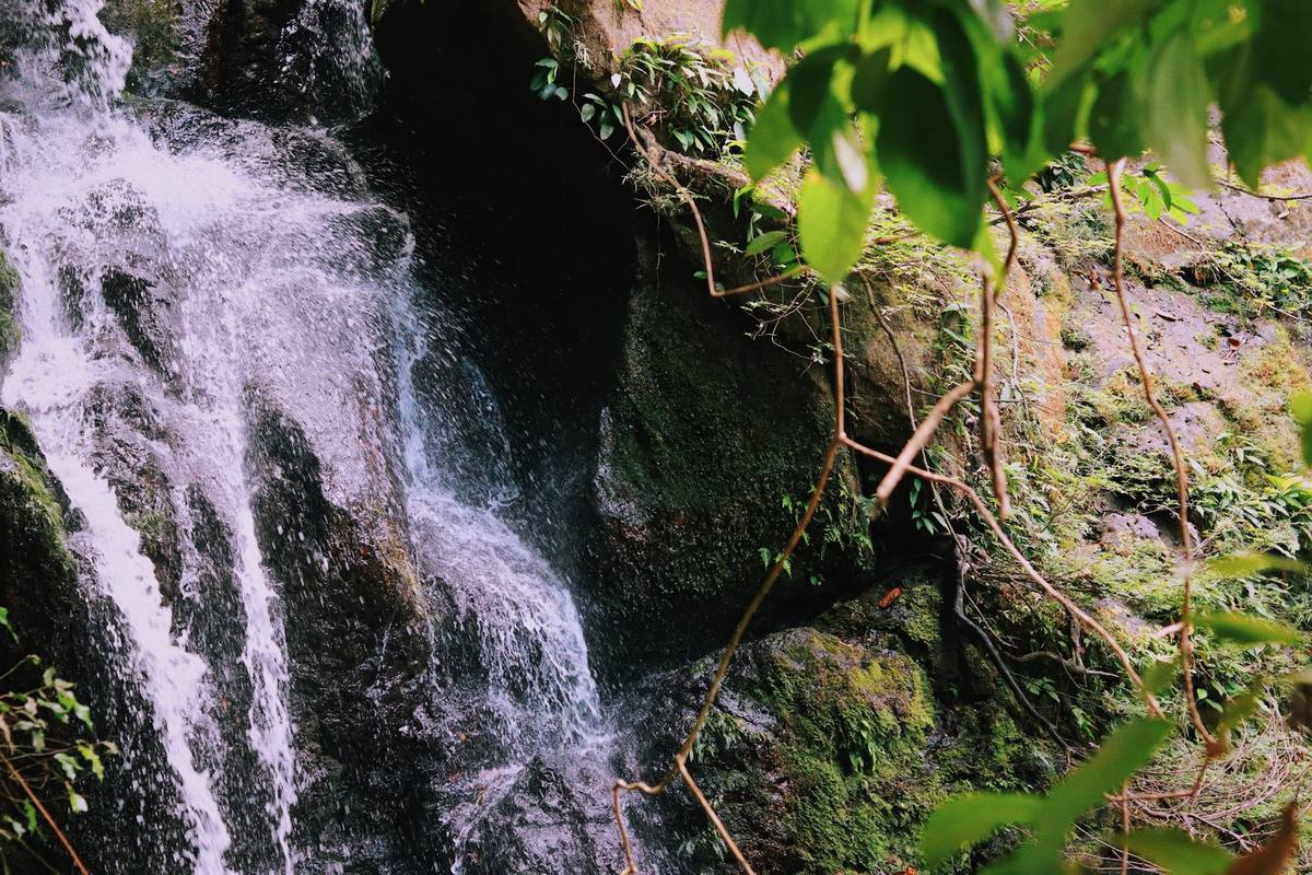 A waterfall over mossy rocks in tropical rainforest