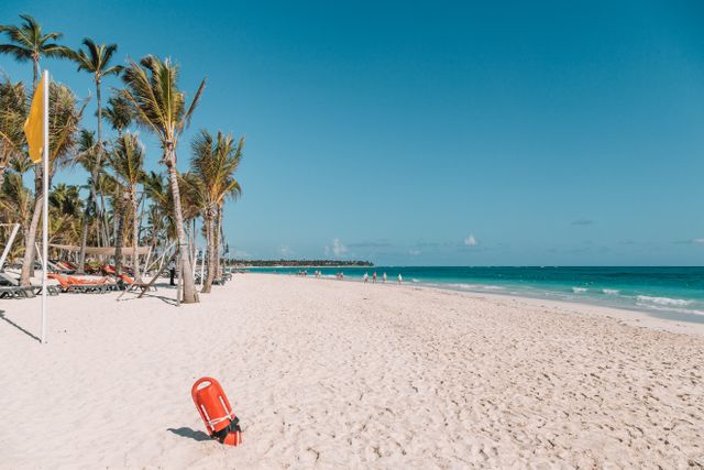 to Punta Cana 