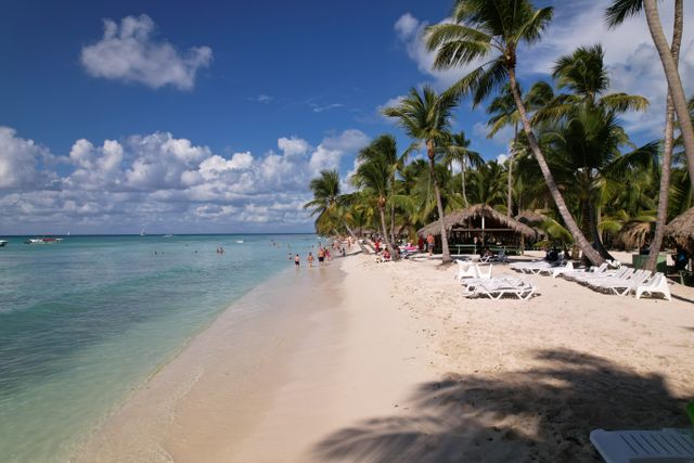 to Punta Cana